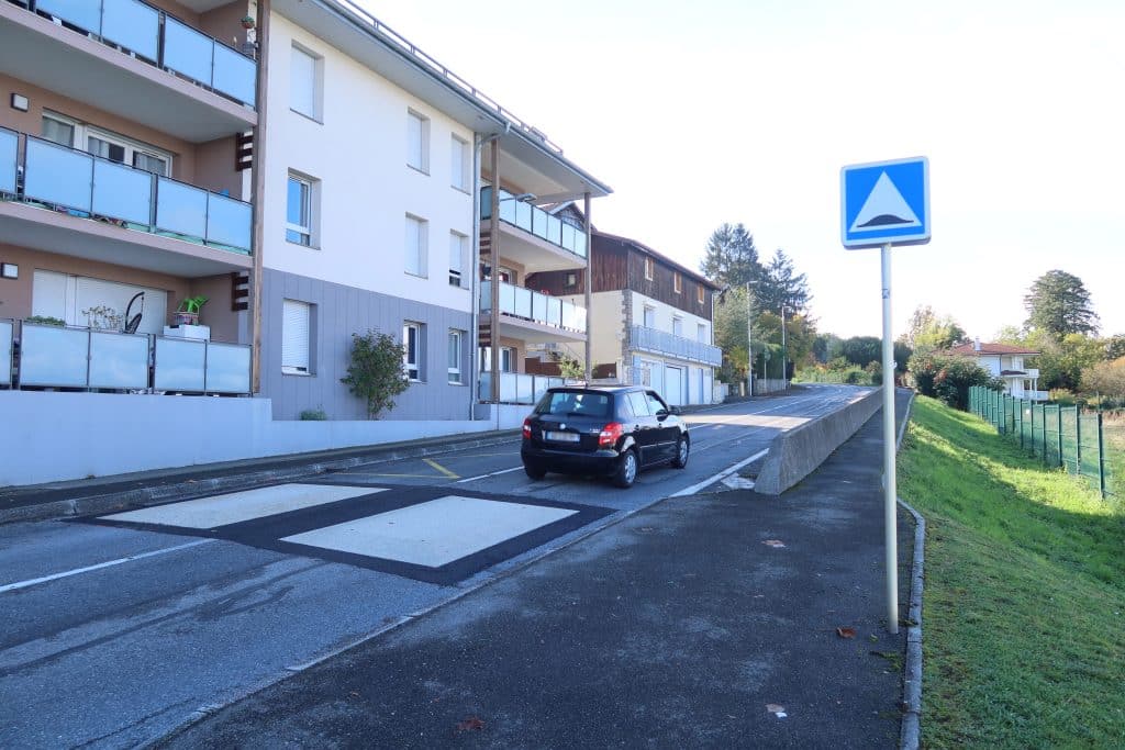 coussins lyonnais