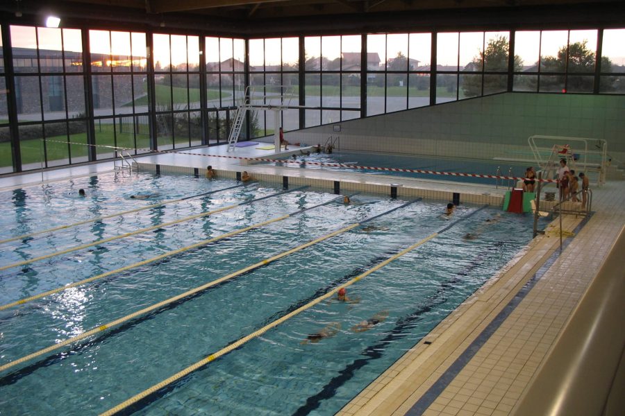 Bassins piscines et plongeons (12)