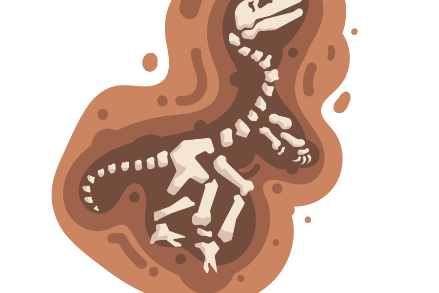 Dino qui a gagné à cache-cache