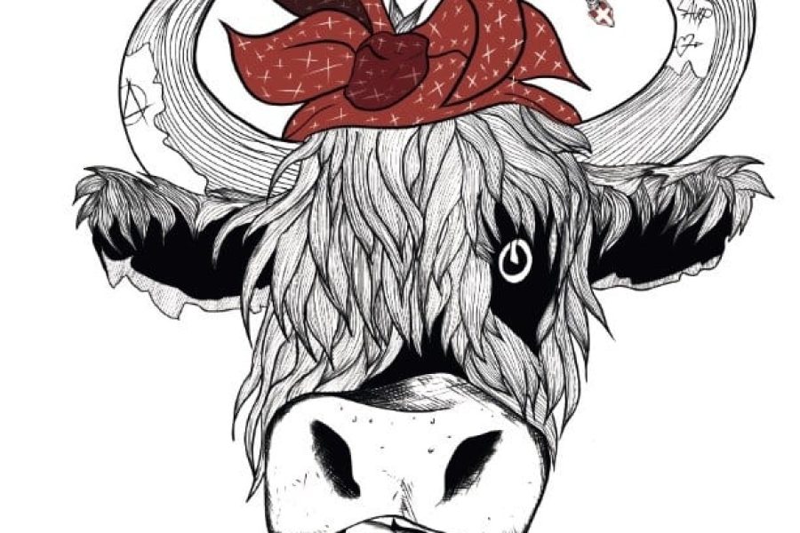 VACHE