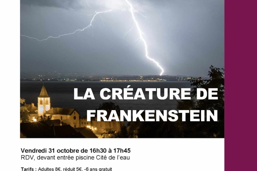 affiche créature Frankenstein