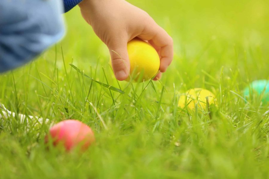 Little boy gathering colorful egg in park. Easter hunt concept