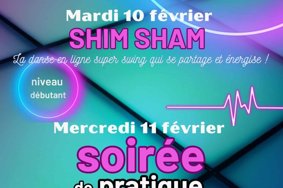 stage amis danse hiver 2026